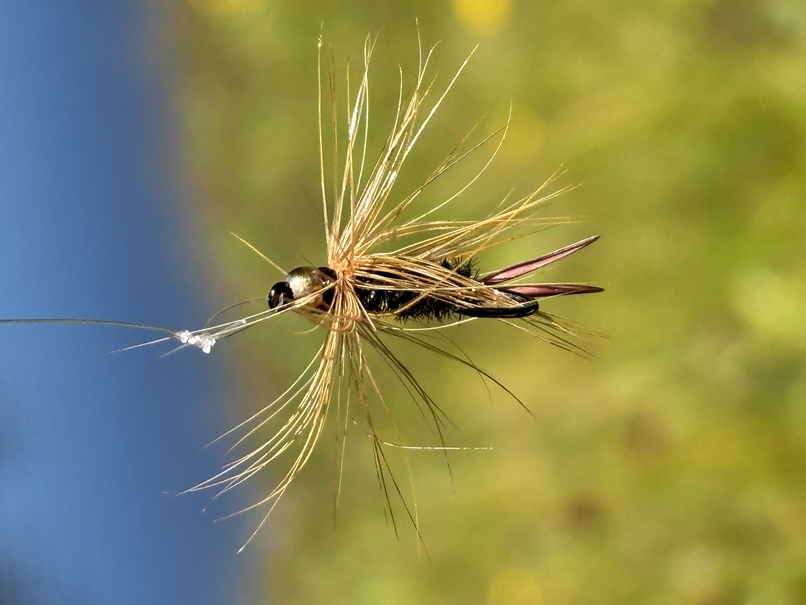 Rapala fly